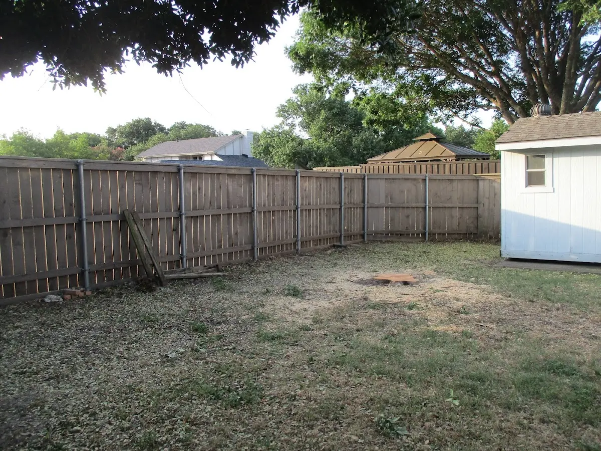 Cleared yard after professional tree removal in Jekyll Island